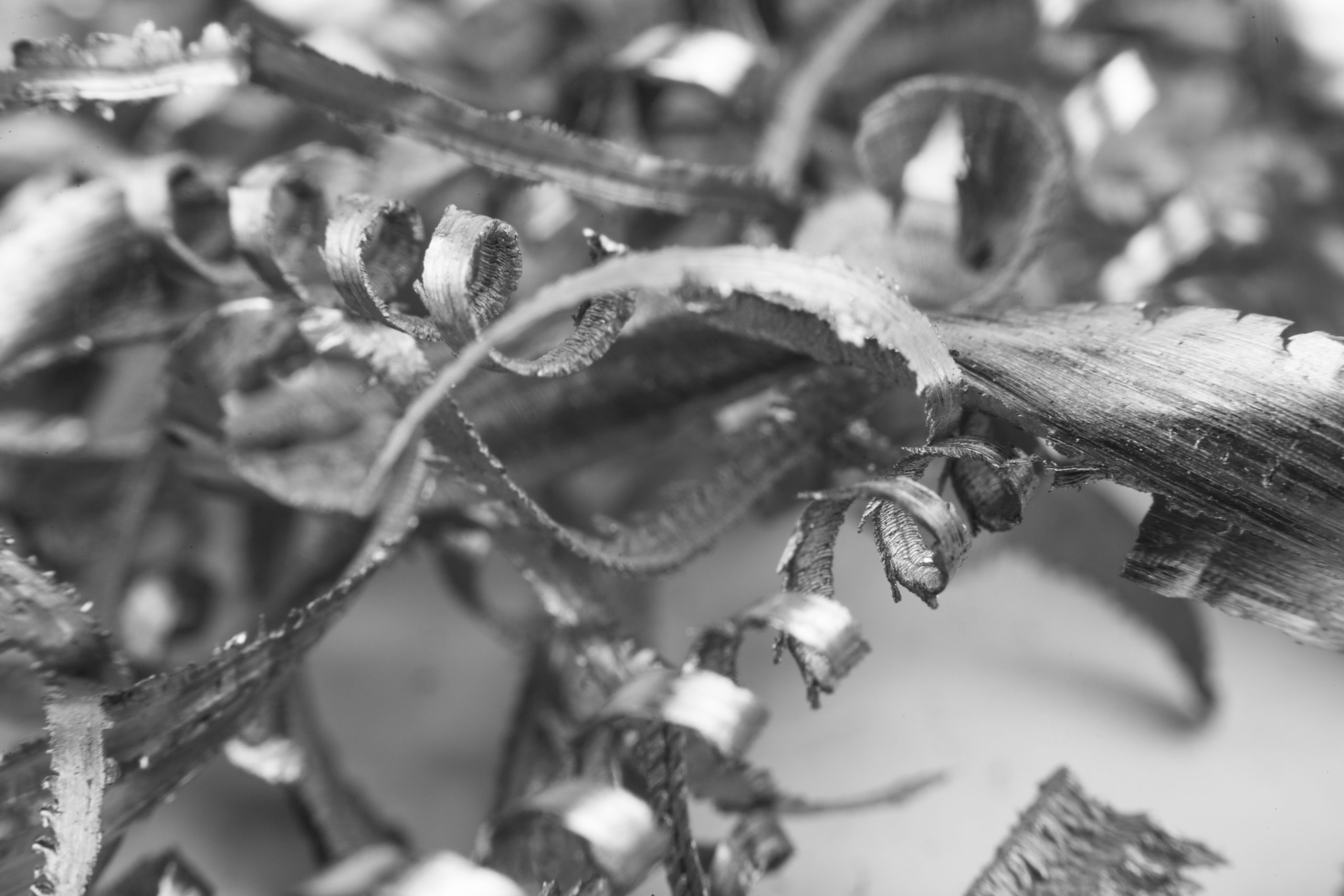 Silver color metal shavings macro close-up